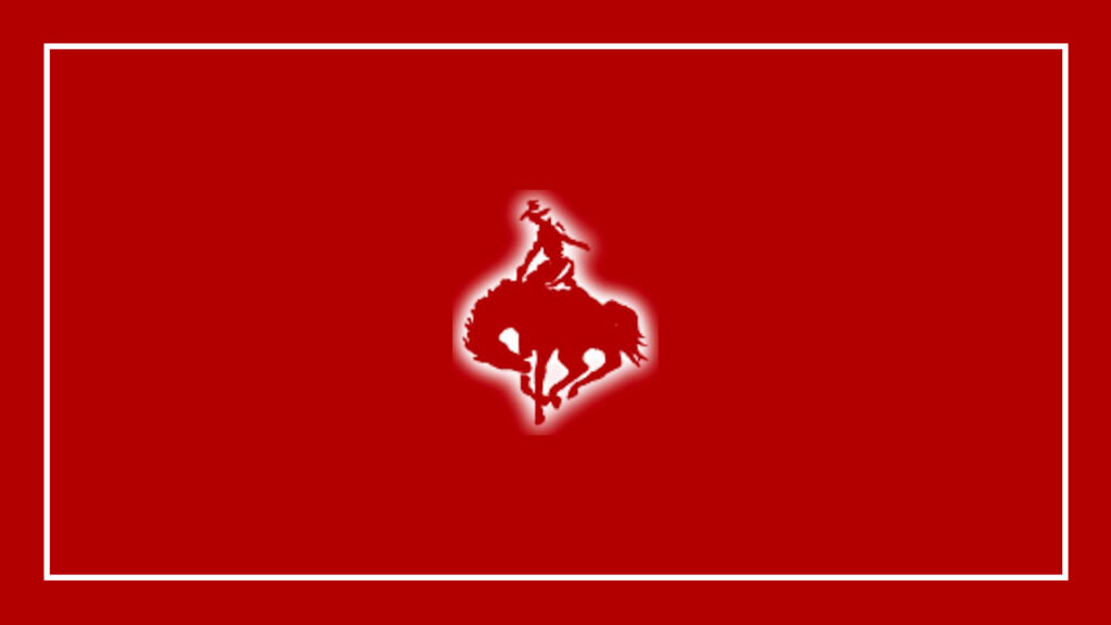 cowboy-moving-&-storage